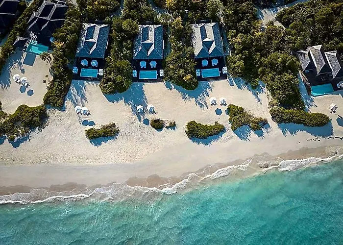 Como Parrot Cay